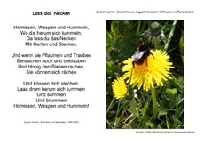 Lass-das-Necken-Fallersleben.pdf